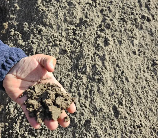 Arena gruesa, arena fina para hormigón y radieres afinados en Rengo.
